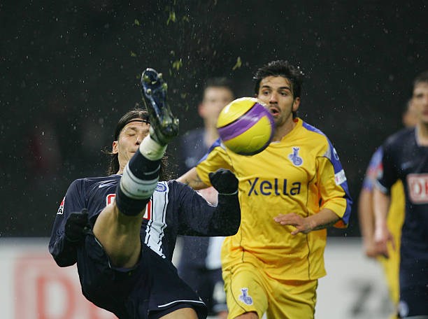 国内大众展 国内大众展